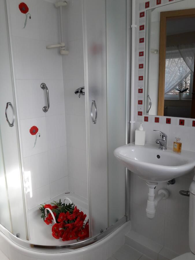 Отель Hotel Finezja Свидник-7